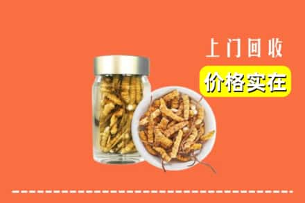收购资讯:长春九台区回收散虫草