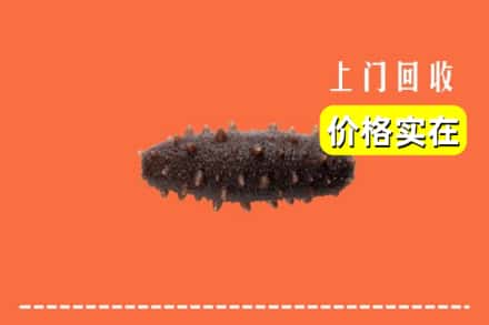 收购资讯:长春九台区回收海参